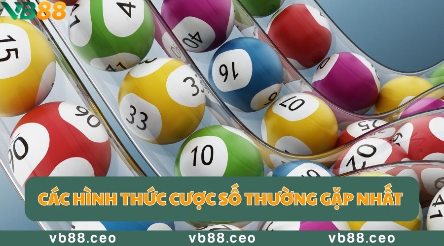 Các hình thức cược số thường gặp nhất